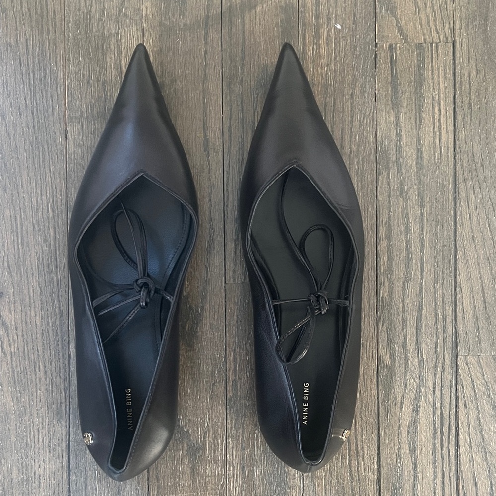 Anine Bing Nikki Flats - Black leather pointed - Picture 12 of 13